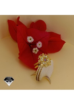 Anello Raggi iberica